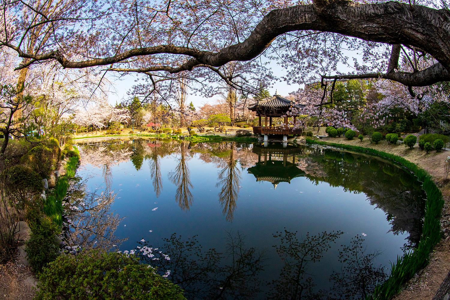 Gyeongju và những nét tiêu biểu bạn cần biết về thành phố này