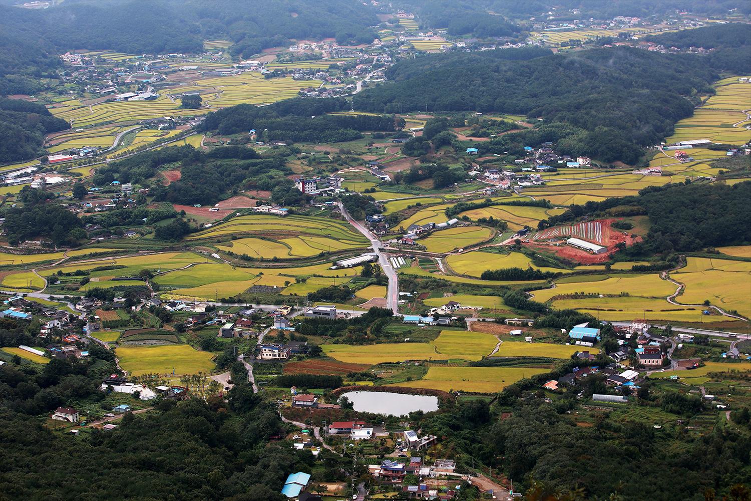 俯瞰慶州的鄉村農田景觀，展示城市悠久的農業傳統。