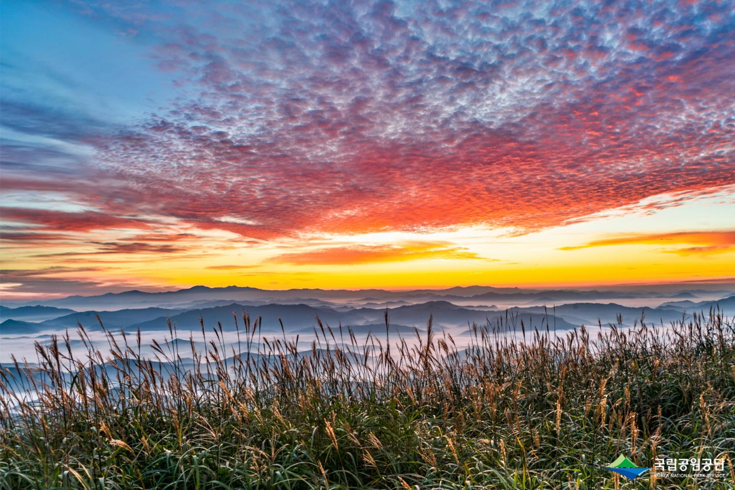 (韓国都市テスト)どんな楽しみが待っているのかときめく都市、光州(クァンジュ)