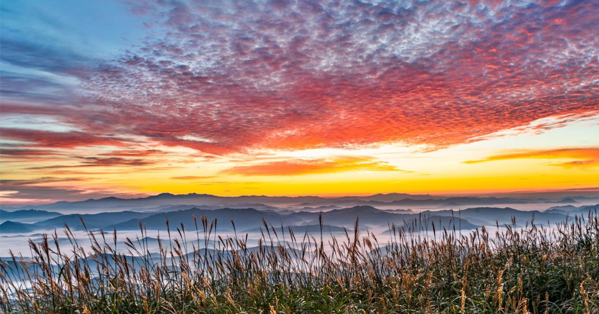 與我最合拍的城市/光州