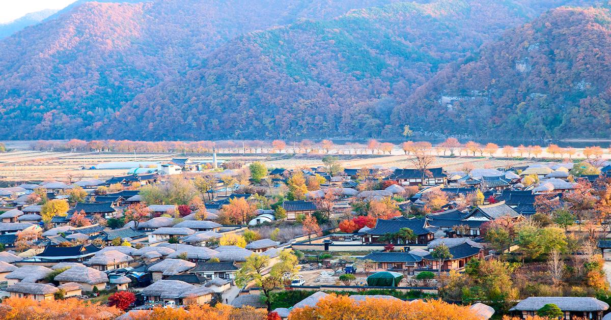 與我最合拍的城市/安東