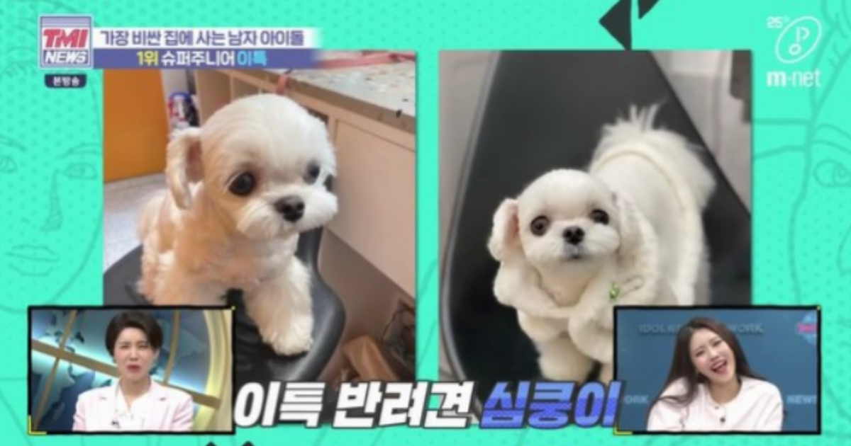 韓国,家,家賃,ランキング,アイドル,K-POP,韓国俳優,高級,どこ