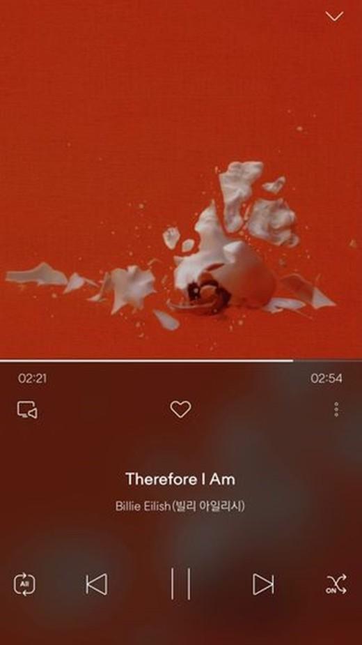 女優ソ·シネがInstagramにアップしたビリー·アイリッシュの曲「Therefore I Am」のキャプチャ画像。この記事においてその意図が多くの議論を呼んでいる。