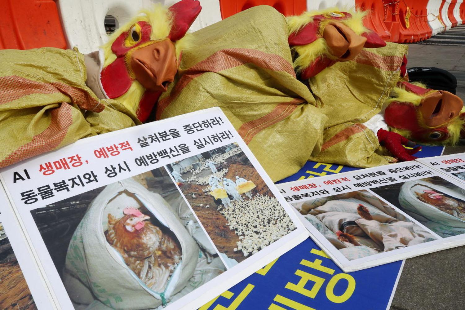 ส่งผลให้ราคาไข่ไก่ที่นี่พุ่งสูงขึ้นถึง 28% 