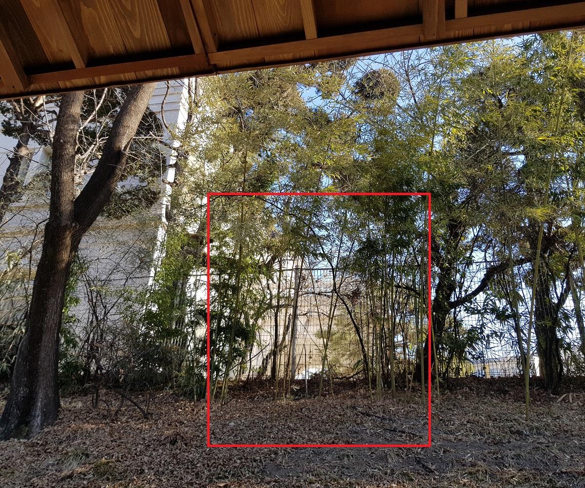 トッケビ、韓国ドラマ、韓国ドラマロケ地、トッケビロケ地、トッケビ撮影地、ソウル、ソウル旅行、韓国旅行、ソウル観光、トッケビツアー、コン・ユ、キム・ゴウン、イ・ドンウク、ユ・インナ、BBQチキン、BBQチキンデリバリー、ユク・ソンジェ、徳寿宮