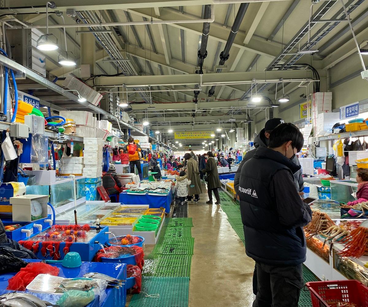 トッケビ、トッケビロケ地、トッケビロケ地ツアー、韓国ドラマ、韓国ドラマロケ地、トッケビ撮影地、カンヌン、江陵、江陵旅行、江陵観光、トッケビツアー、コン・ユ、キム・ゴウン、イ・ドンウク、韓国水産市場
