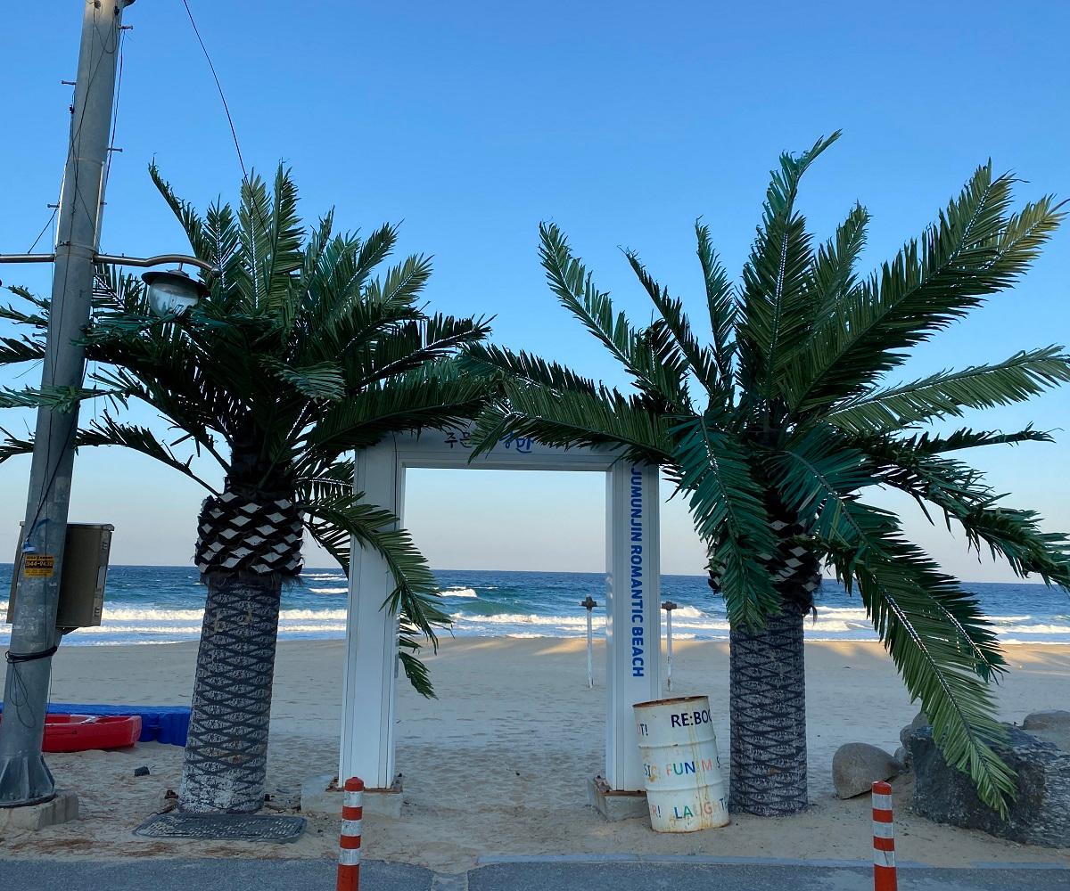 トッケビ、トッケビロケ地、トッケビロケ地ツアー、韓国ドラマ、韓国ドラマロケ地、トッケビ撮影地、カンヌン、江陵、江陵旅行、江陵観光、トッケビツアー、コン・ユ、キム・ゴウン、イ・ドンウク、韓国観光地、韓国地方、BTS、春の日、Spring Day、BTSジャケット写真、BTSジャケット写真撮影地、BTS停留所、BTSバス停