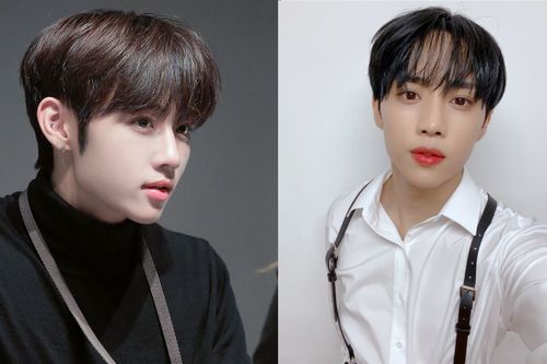 Creatrip 韓国芸能人の学校暴力疑惑まとめ