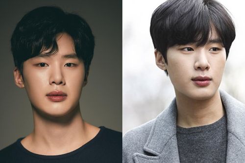 Creatrip 韓国芸能人の学校暴力疑惑まとめ