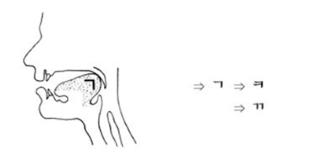 韓文子音發音圖解：口腔內子音 'ㄱ'、'ㅋ' 發音示範，對應舌頭及口腔位置變化。發音姿勢圖。