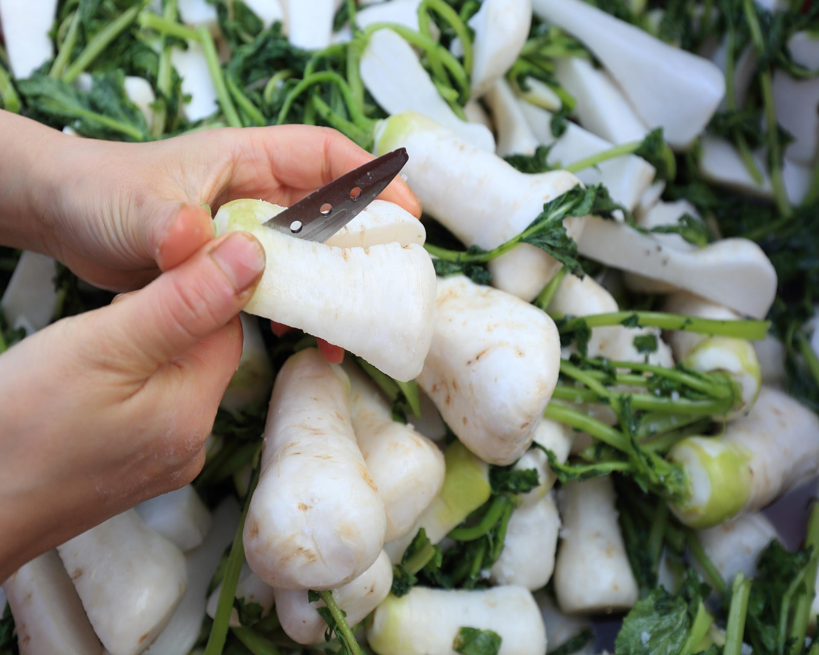 キムジャン、韓国文化、韓国人、韓国のキムチ、キムチ、韓国のゴミ捨て、韓国のゴミの分別