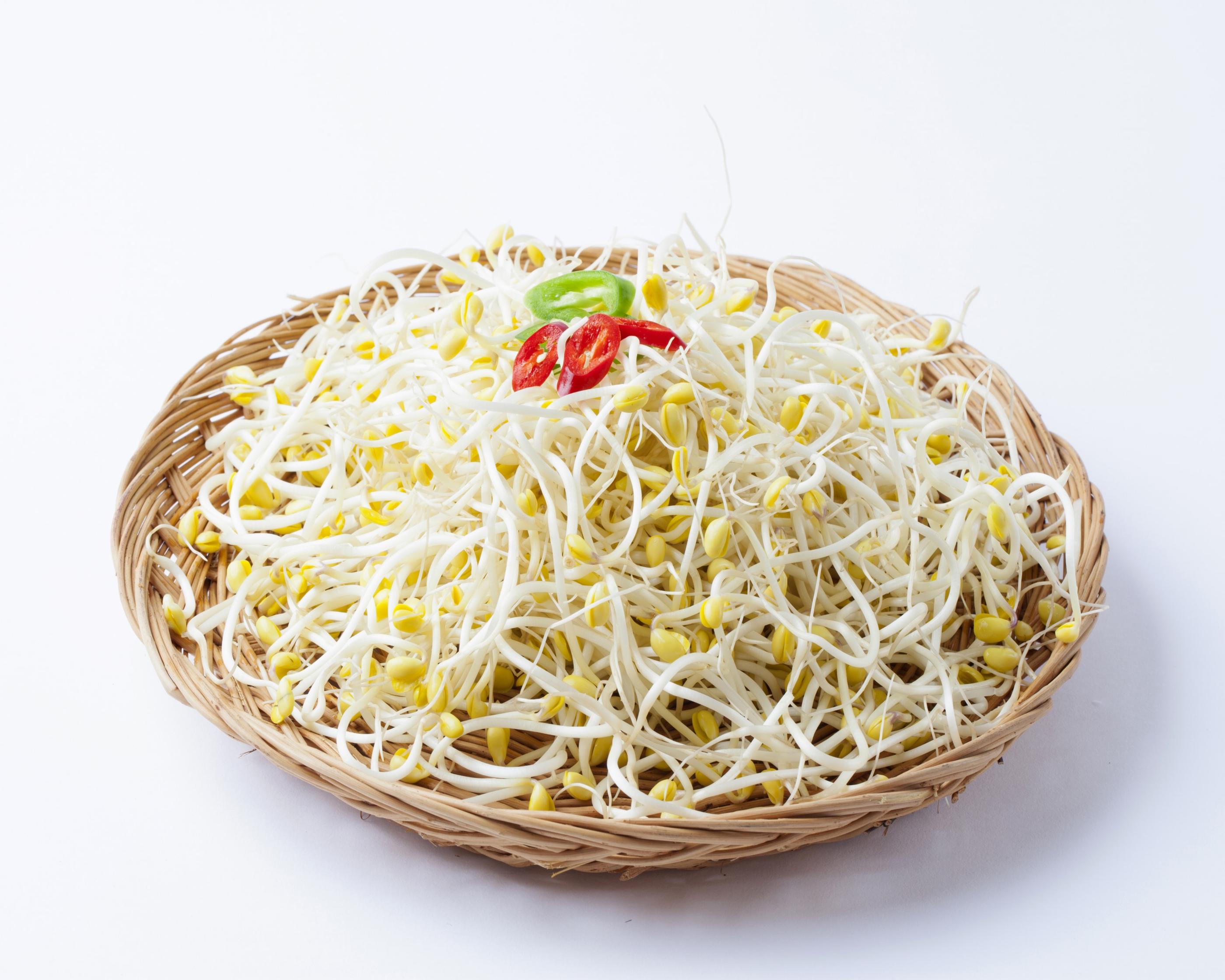 キムジャン、韓国文化、韓国人、韓国のキムチ、キムチ、韓国のゴミ捨て、韓国のゴミの分別、コンナムル