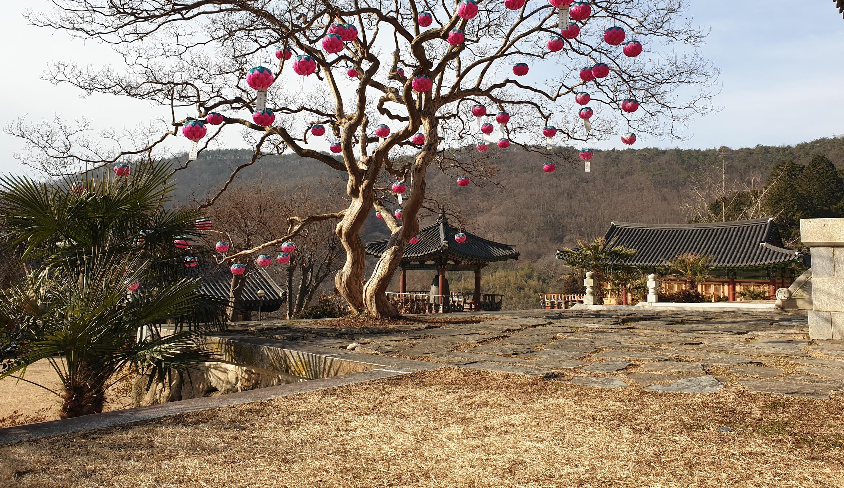 韓国ドラマ、麗〜花萌ゆる8人の皇子たち〜、麗、レイ、アイユ、イジュンギ、カンハヌル、月の恋人、ジス、撮影地、ロケ地、韓国、韓国ドラマ撮影地、韓国ドラマロケ地、ドラマ撮影地、ドラマロケ地、韓ドラ、韓ドラファン、韓国歴史ドラマ、韓国時代劇、ナジュ映像テーマパーク、羅州映像テーマパーク、抱川アートバレー、抱川、アートバレー、水原、粤華苑、水原ウォルファウォン、ウォルファウォン、江陵、船橋荘、江陵船橋荘、ソンギョジャン、丹陽、温達観光地、丹陽温達観光地、オンダル、オンダル観光地、扶余、百済文化団地、扶余百済文化団地、ペクチェ文化団地、扶余、薯童謡テーマパーク、扶余薯童謡テーマパーク、ソドンヨ、ソドンヨテーマパーク、密陽、位良池、位良地、密陽位良池、ウィヤンチ、ウィヤンモ、ミリャン、南原、広寒楼、南原広寒楼、ナムォン、クァンハンル、オザッキョ、オジャッキョ、烏鵲橋、和順、萬淵寺、ファスン、マニョンサ、マンヨンサ、IU、韓国歴史、クリエイトリップ、달의연인,보보경심려,달의연인촬영지