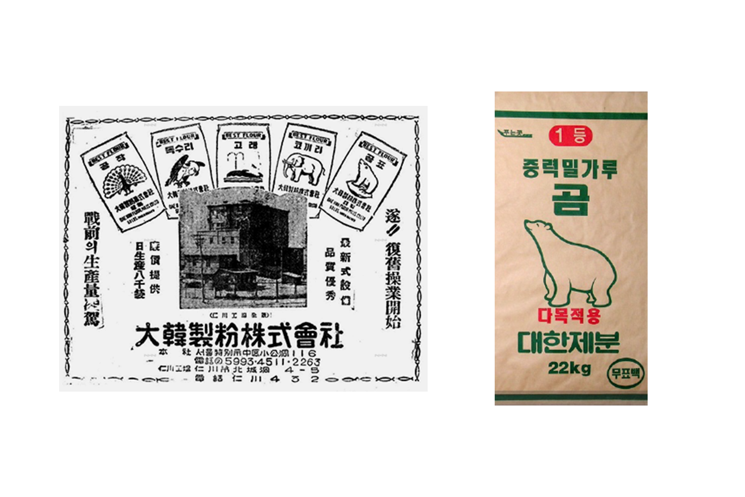 1952년 대국제분합자회사 광고와 곰표 밀가루 포장지.