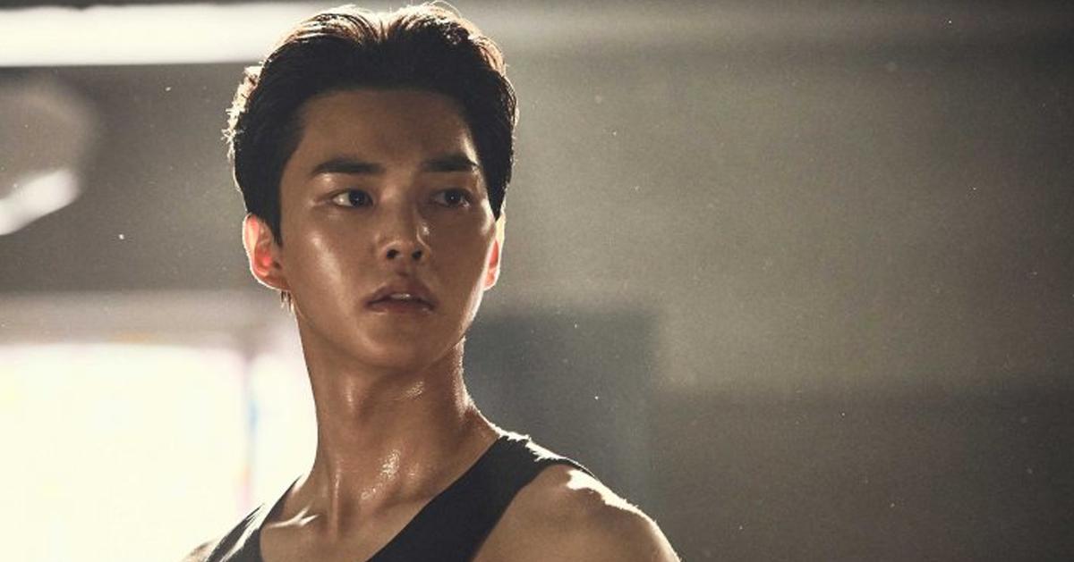 《如蝶翩翩》介紹/角色整理