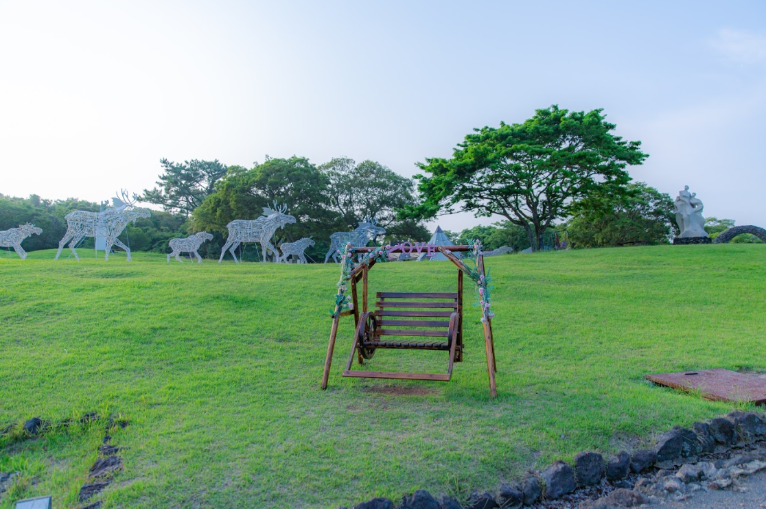 Forest Fantasia | Enjoy nightscape of Jeju in beutiful sculpture park