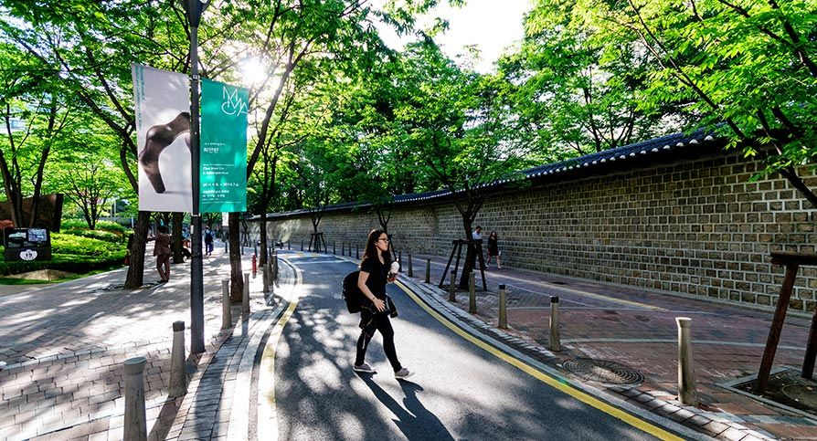 德壽宮的石牆路，樹影斑駁的小徑，充滿浪漫氣息