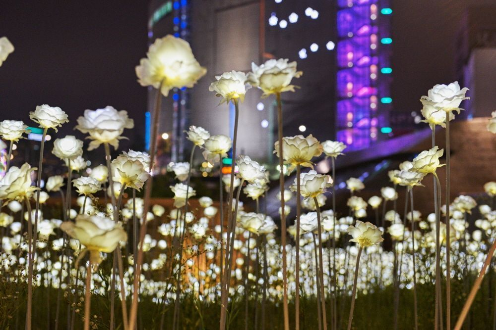 Tourist Attractions in Seoul That are Going to Disappear These 8 popular tourist attractions will not be able anymore