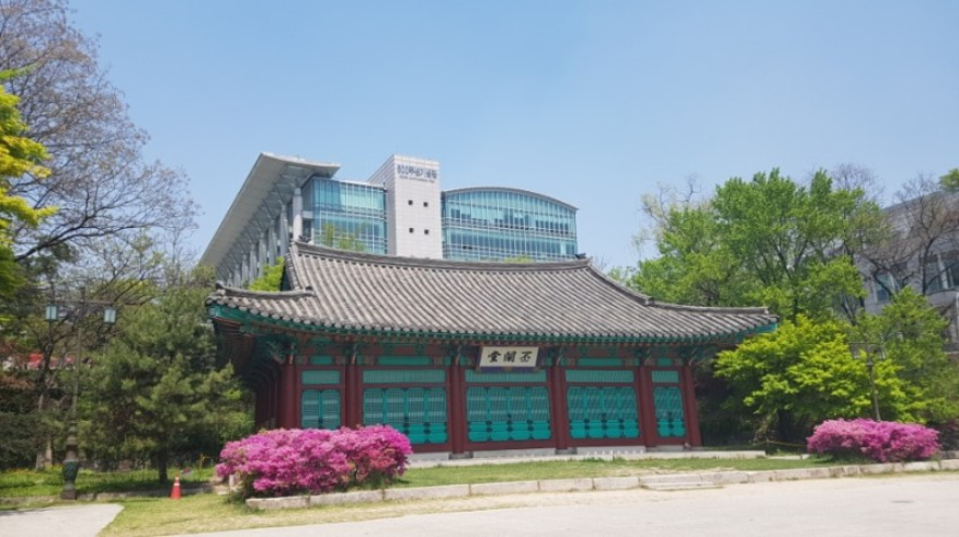 TOP 3 語學堂 | 在位於青春的大學路上的成均館大學學韓語