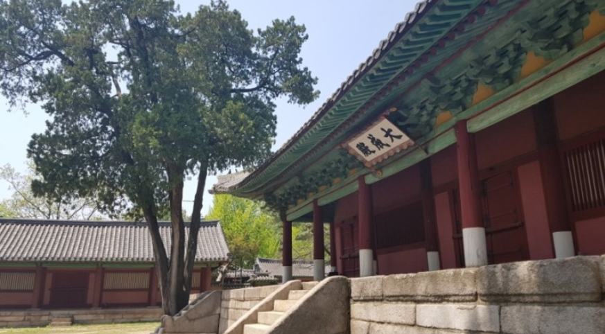 TOP 3 語學堂 | 在位於青春的大學路上的成均館大學學韓語