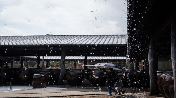 チュンチョンツアー南怡島(ナミソム)&伝統醸造所一日ツアー、韓国旅行、韓国観光、韓国自然、韓国人気スポット、韓国名所、南怡島、ナミソム、伝統酒、韓国ドラマ、韓国映画、冬のソナタ、韓国自然、チュンチョン、伝統醸造所、抱川、ポチョン、サンサウォン醸造所、試飲、韓国お酒、マッコリ、スル、お酒、ナミソム旅行、韓国名所