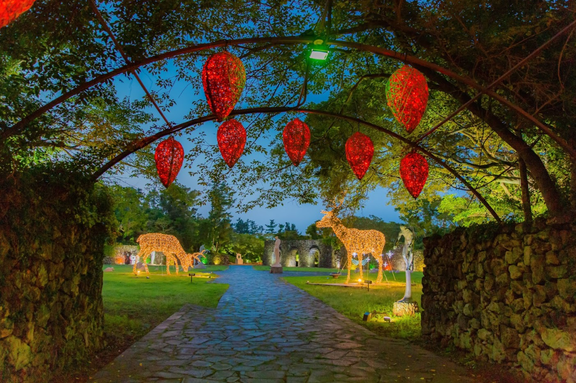 Forest Fantasia | Enjoy nightscape of Jeju in beutiful sculpture park