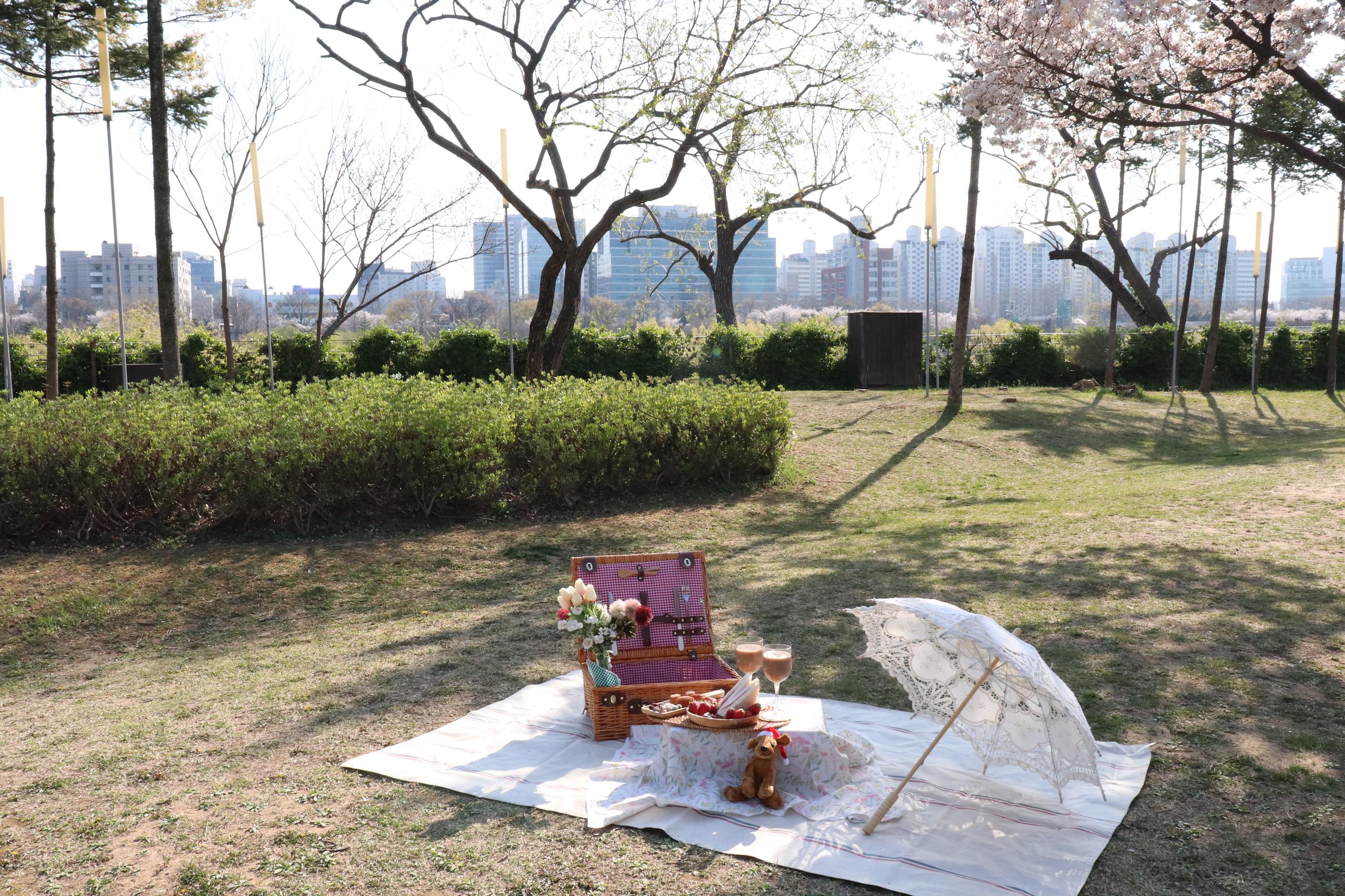 Romanticnic | Seonyudo, Picnic set rental that sets a mood of romance