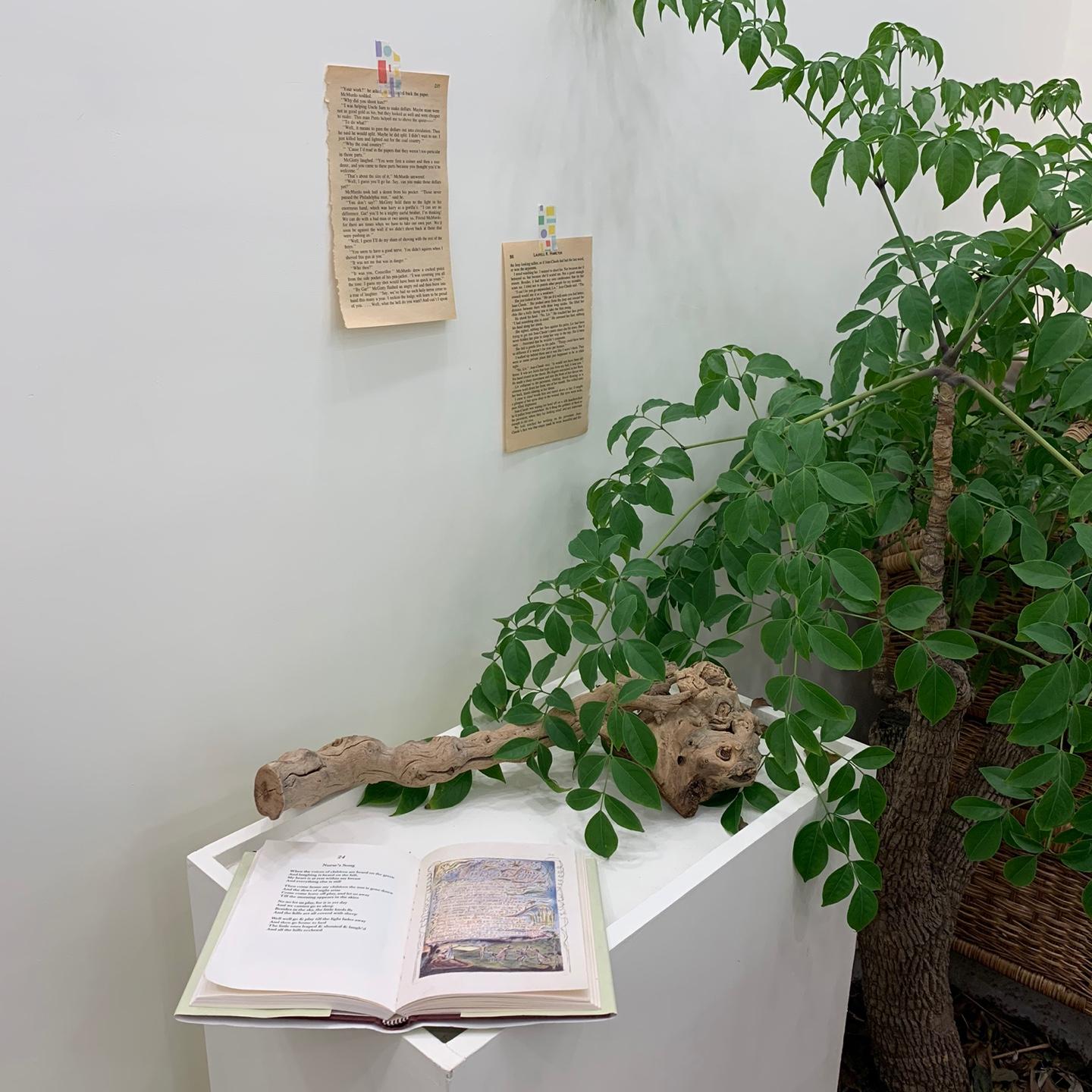 韓國最近超紅文青打卡Cafe，新村必食士多啤梨蛋糕！唔想堂食可以租借去野餐？