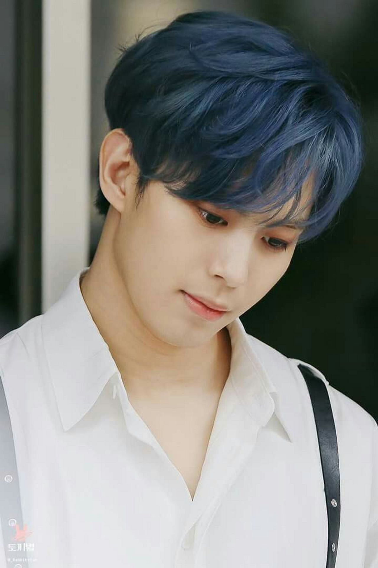 สีไหนจะมาสำหรับใบไม้ผลินี้? เทรนด์ใบไม้ผลิ 2025 ที่ทำแล้วคนเกาหลีต้องเหลียวหลังมองแน่นอน