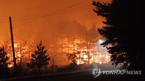 Creatrip 消防庁 高城山火事の鎮火に消防車314台 人力1846人投入 総合