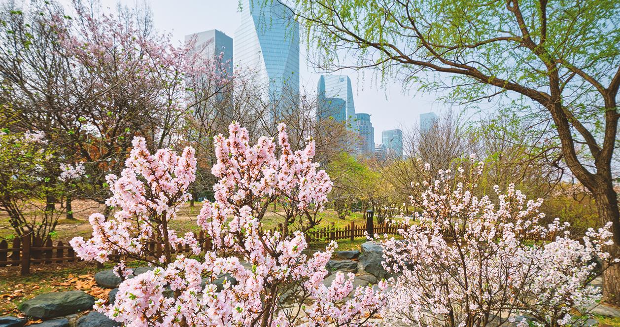 Công viên ở Hàn có gì thần kì mà cuối tuần ai ai cũng đến chơi thế? 