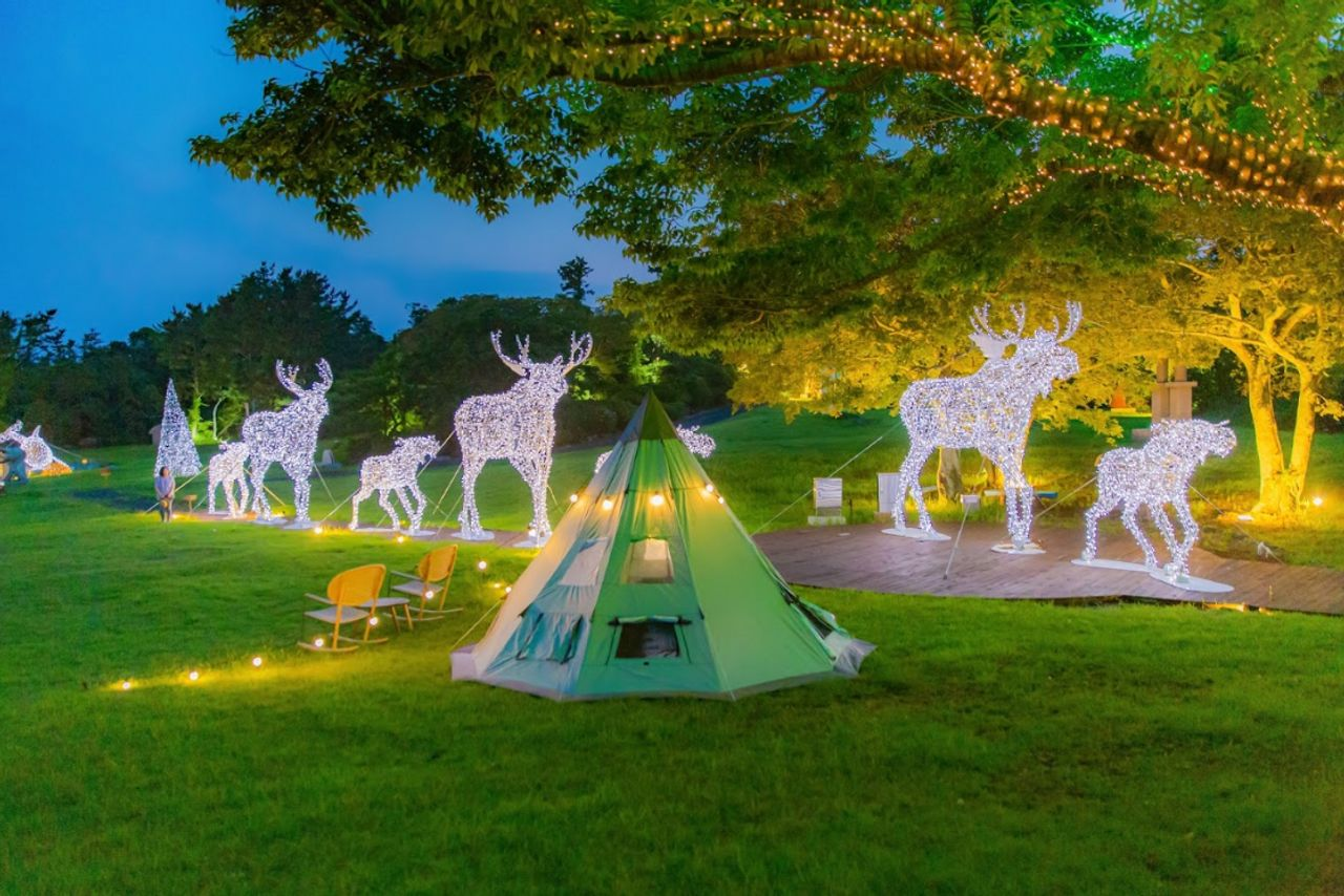 Forest Fantasia | Enjoy nightscape of Jeju in beutiful sculpture park