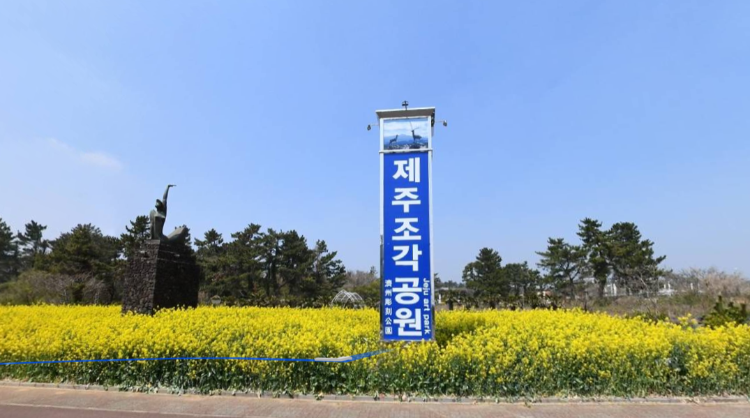 Forest Fantasia | Enjoy nightscape of Jeju in beutiful sculpture park