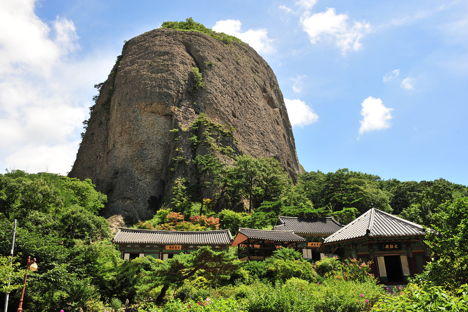 全州ツアー、馬耳山(マイサン)&全州韓屋村ツアー、韓国ツアー、韓国旅行、韓国観光、韓国自然、韓国人気スポット、韓国名所、馬耳山、マイサン、全州韓屋村、韓国ドラマ、韓国映画、いとしのスヨン、国家代表、男が愛する時、ハンボク、韓国人ハンボク、ハンボク体験、韓服レンタル、可愛い韓服、韓服男、ハンボクナム、韓国自然、チョンジュ、