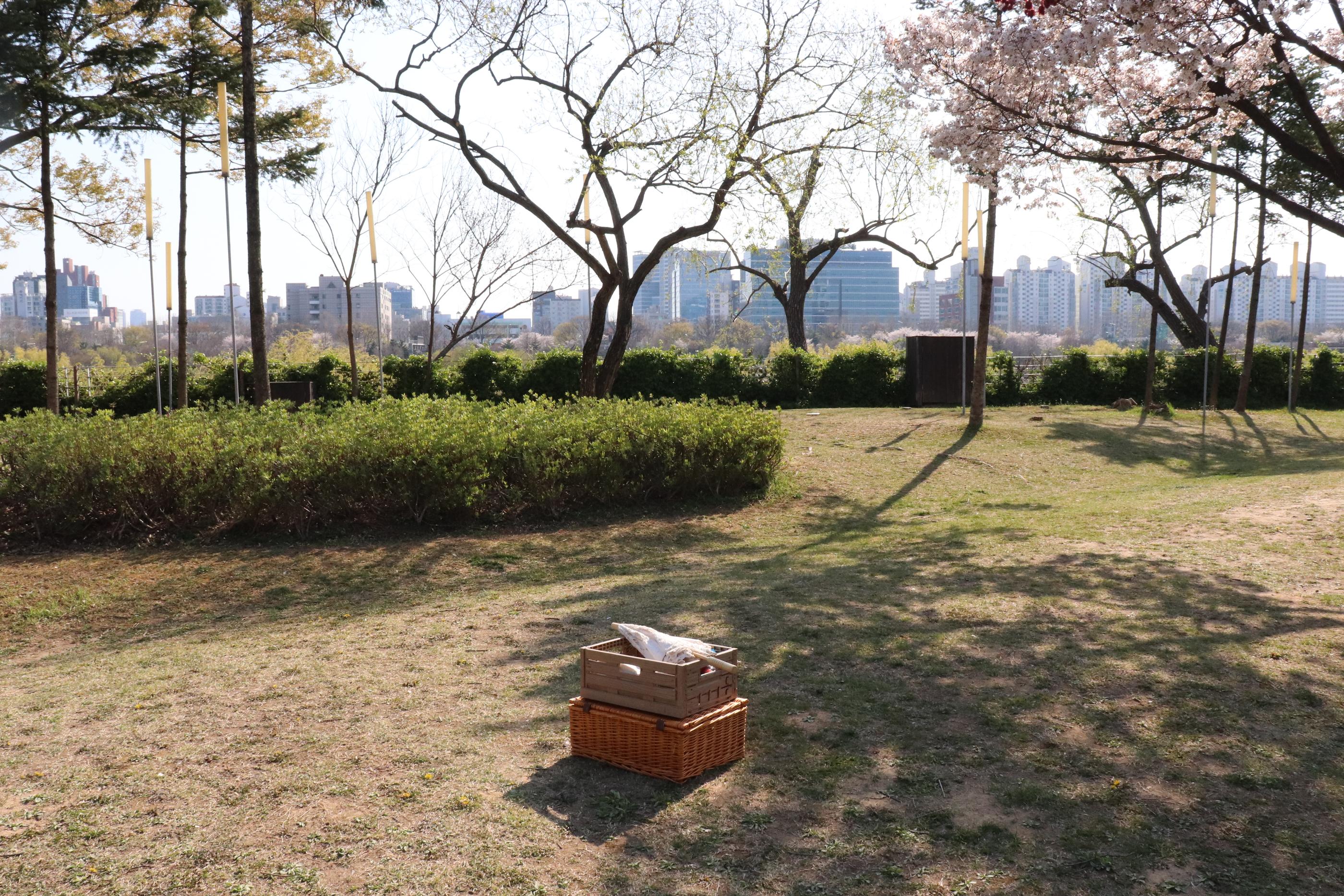 Romanticnic | Seonyudo, Picnic set rental that sets a mood of romance