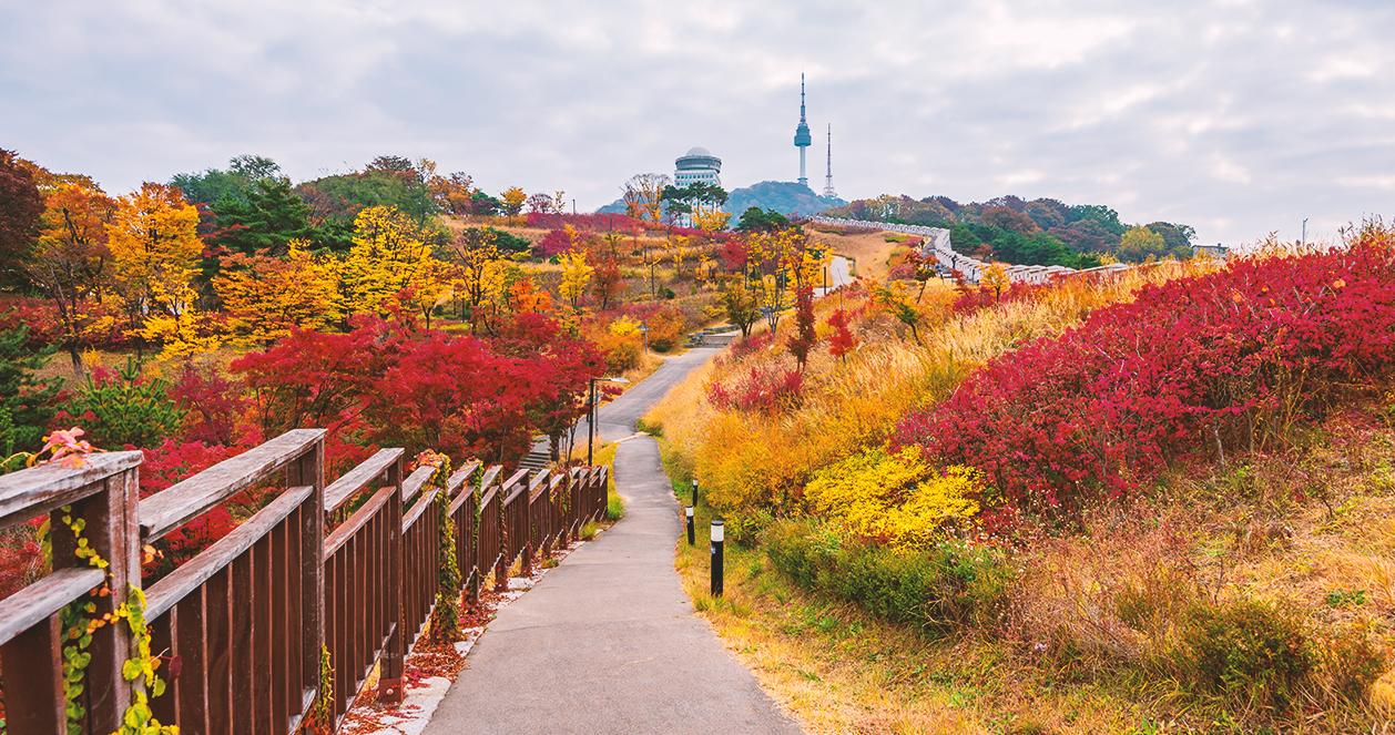 Công viên ở Hàn có gì thần kì mà cuối tuần ai ai cũng đến chơi thế? 