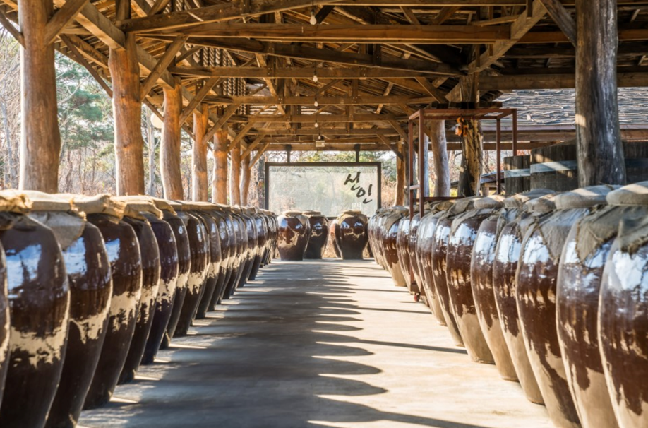 チュンチョンツアー南怡島(ナミソム)&伝統醸造所一日ツアー、韓国旅行、韓国観光、韓国自然、韓国人気スポット、韓国名所、南怡島、ナミソム、伝統酒、韓国ドラマ、韓国映画、冬のソナタ、韓国自然、チュンチョン、伝統醸造所、抱川、ポチョン、サンサウォン醸造所、試飲、韓国お酒、マッコリ、スル、お酒、ナミソム旅行、韓国名所