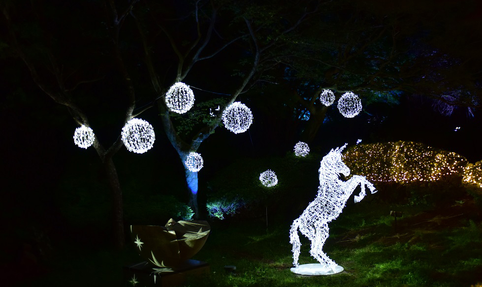 Forest Fantasia | Enjoy nightscape of Jeju in beutiful sculpture park