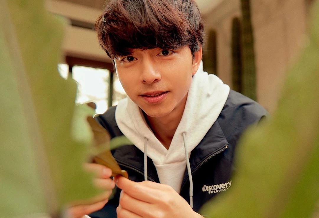 户外环境中的孔刘，轻松休息在长椅上，白色运动衫的搭配下流露出自信与洒脱的Discovery形象。