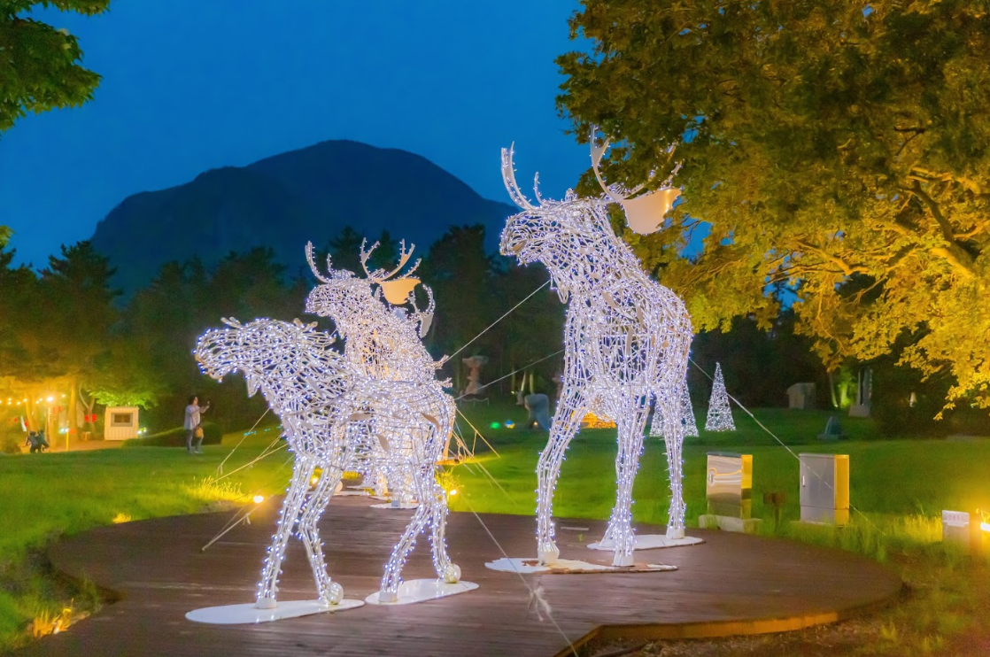 Forest Fantasia | Enjoy nightscape of Jeju in beutiful sculpture park