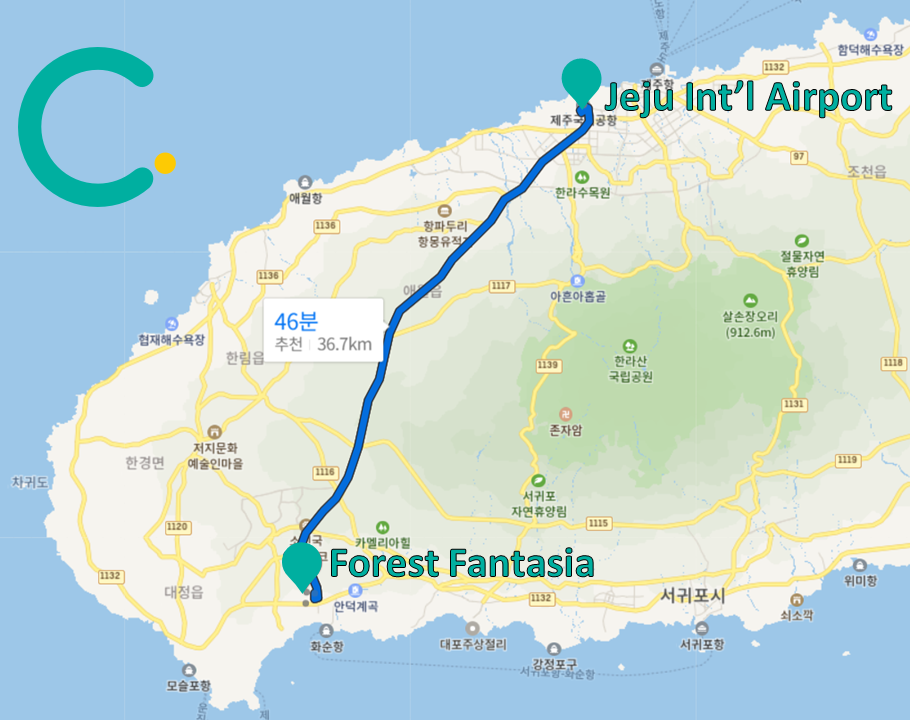 Forest Fantasia | Enjoy nightscape of Jeju in beutiful sculpture park