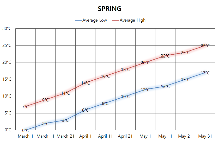 Complete guide on Korea