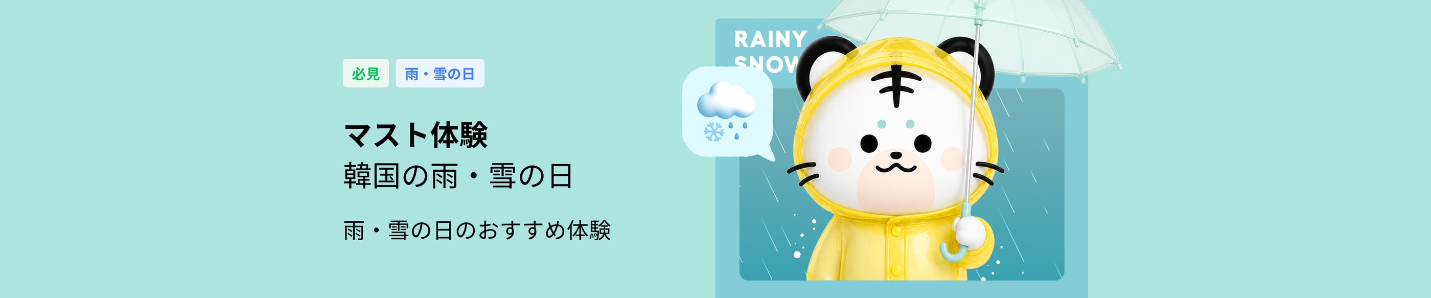 雨や雪の日の韓国の楽しみ方｜韓国旅行おすすめスポット