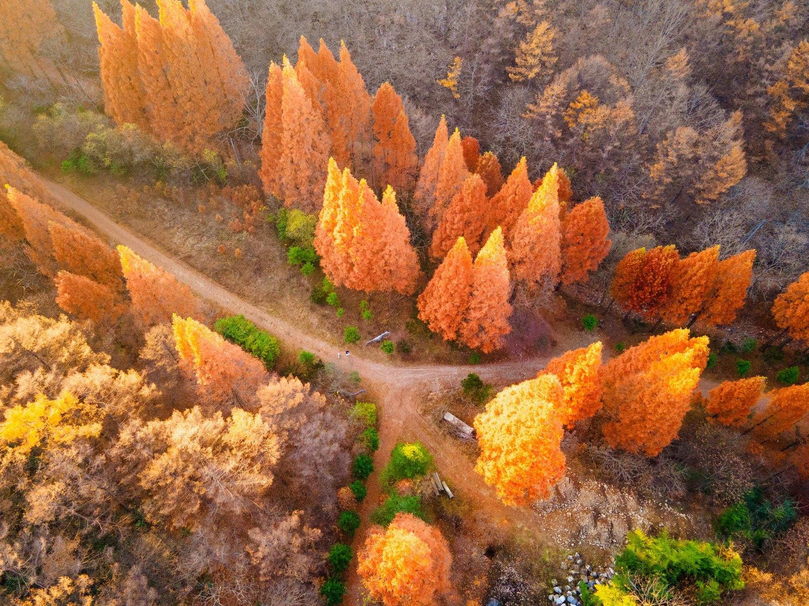 忠清南道 旅遊 風景