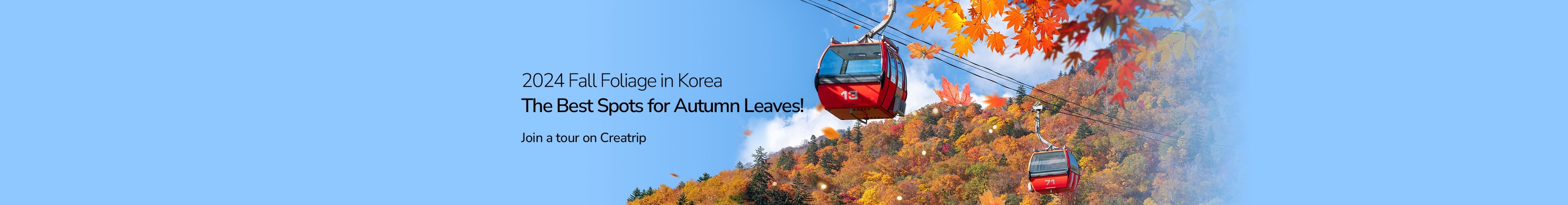 2024 Fall Foliage in Korea! The Best Spots for Autumn Leaves