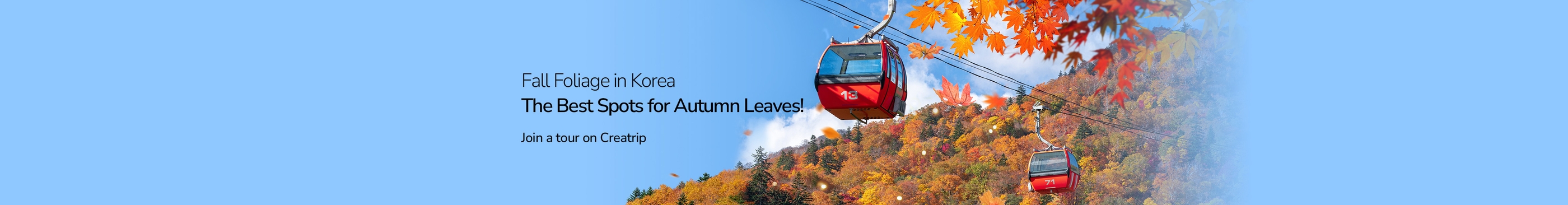 2025 Fall Foliage in Korea! The Best Spots for Autumn Leaves