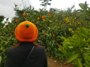 Creatrip 韓国にある3つの年齢の数え方 Creatrip 韓国にある3つの年齢の数え方