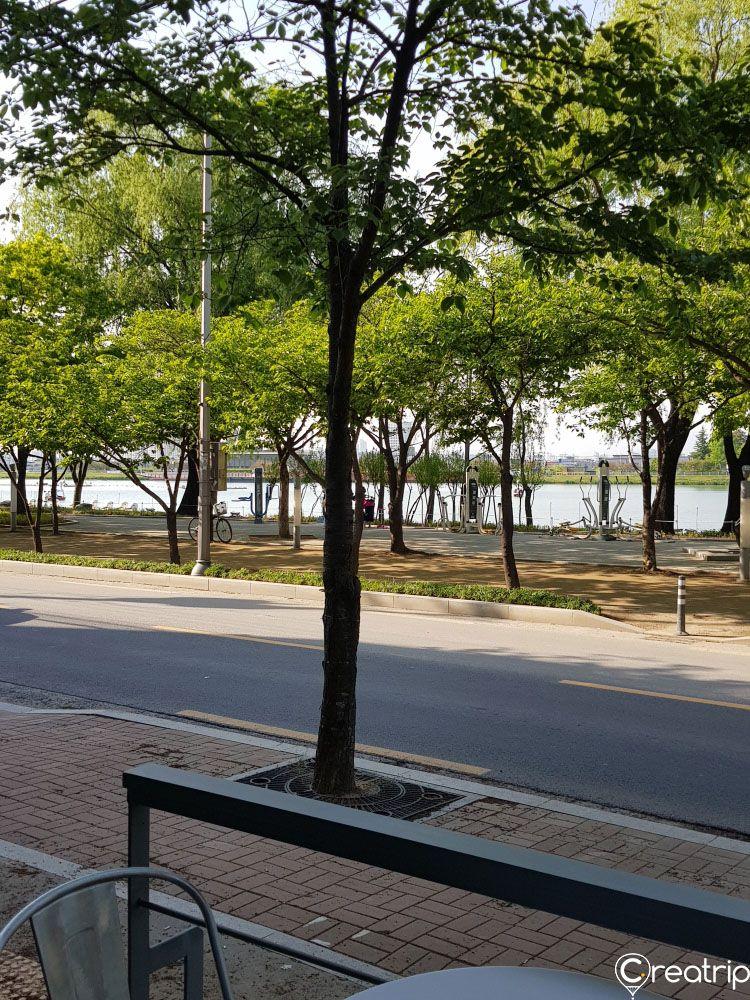 KOPI MARLEY Danau Suseongmot image 3