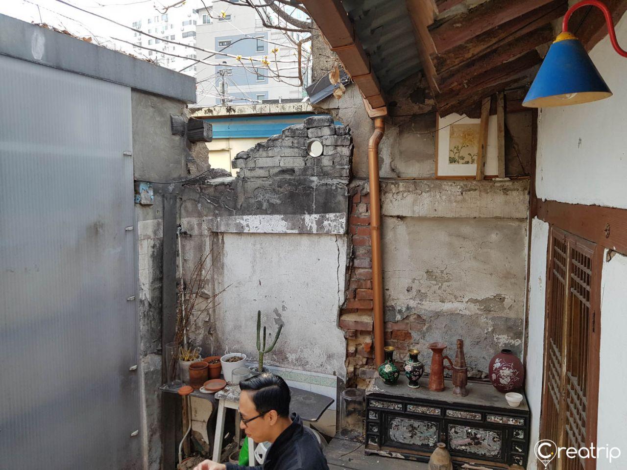 Caffetteria vegetale image 5