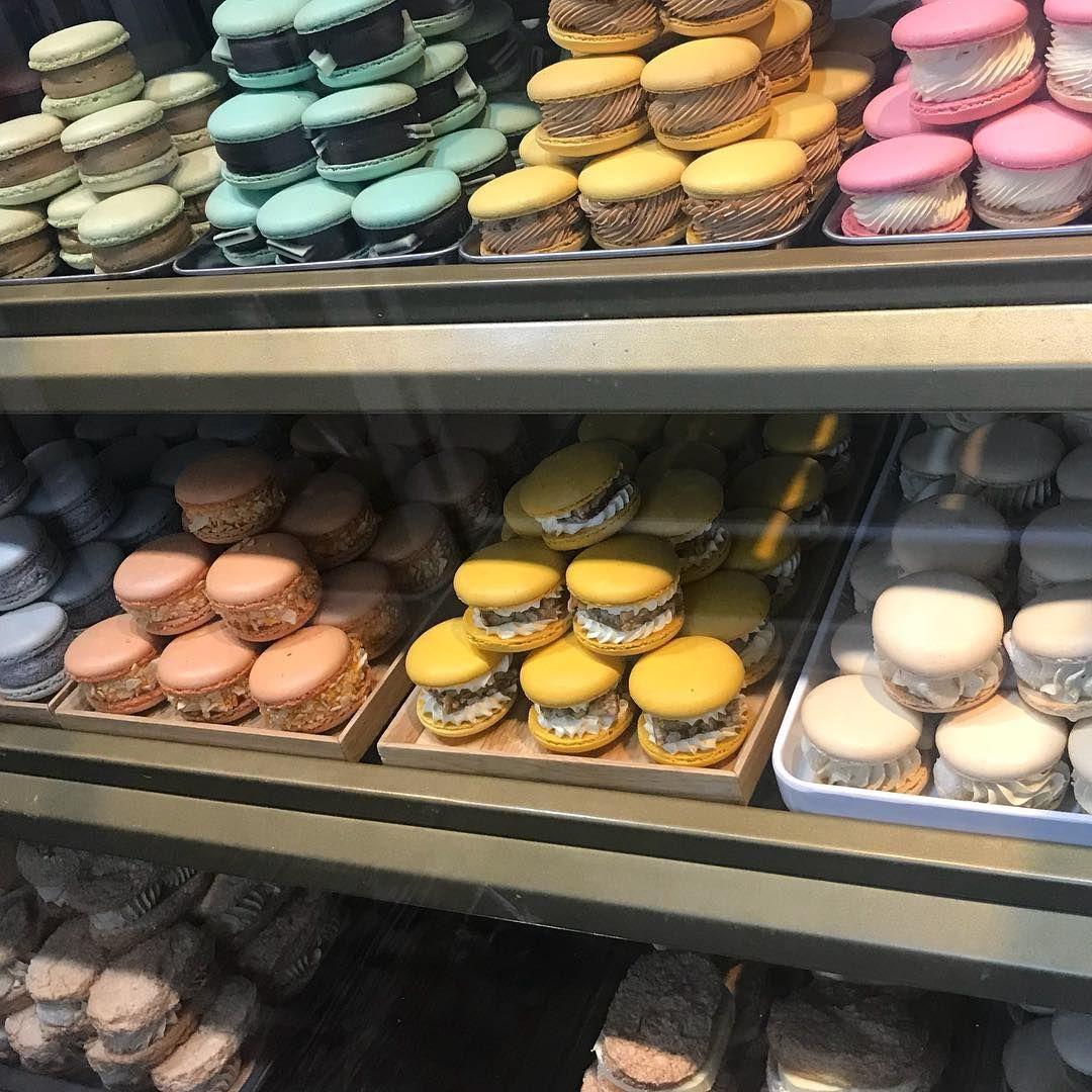 Disertación única image 2